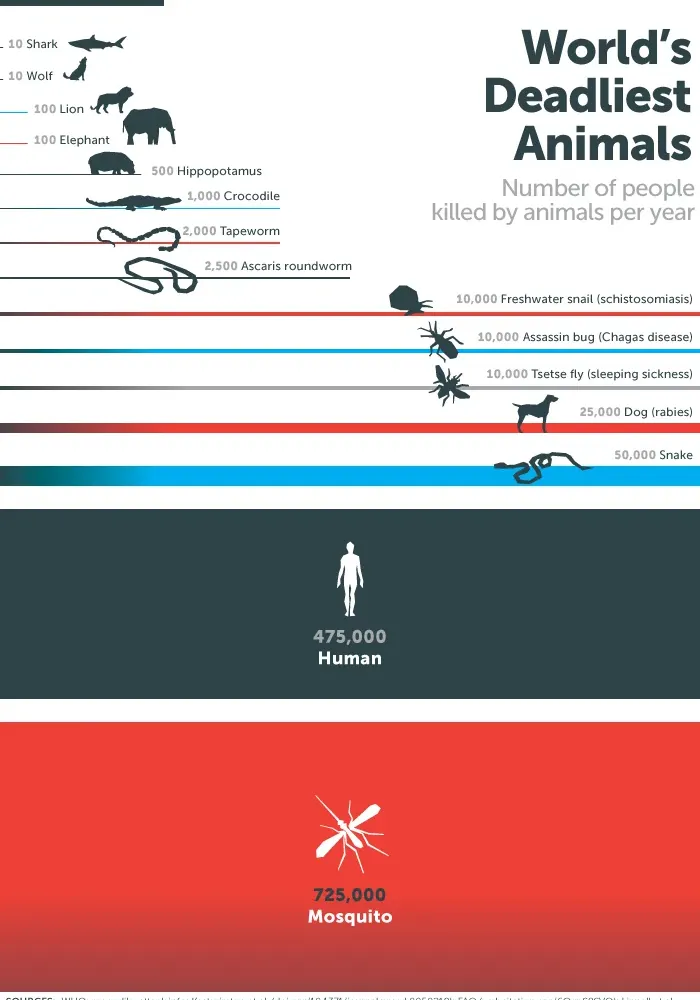 Infographic showing mosquitoes kill 725,000 people per year, more than any other animal